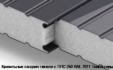 Кровельные сэндвич панели с ППС 250 RAL 7011 Темно-серый