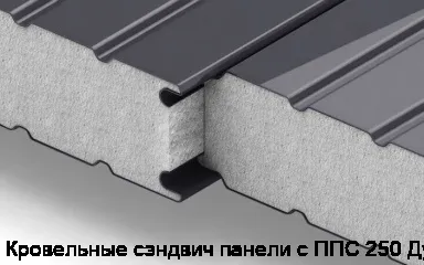 Кровельные сэндвич панели с ППС 250 Дуб