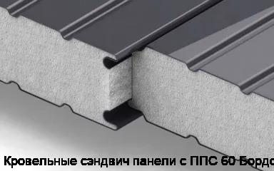 Кровельные сэндвич панели с ППС 60 Бордо