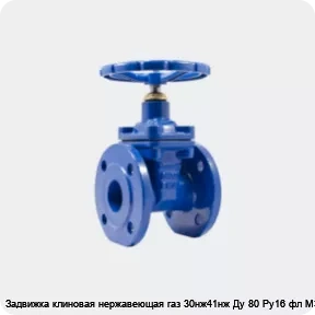 Изображение 4 - Задвижка клиновая нержавеющая газ 30нж41нж Ду 80 Ру16 фл МЗТА