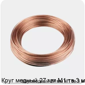 Изображение 3 - Круг медный 27 мм М1 тв 3 м