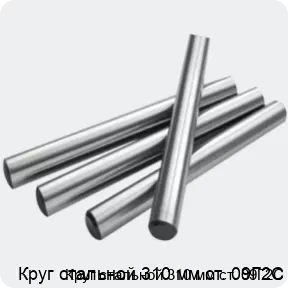 Изображение 2 - Круг стальной 310 мм ст. 09Г2С