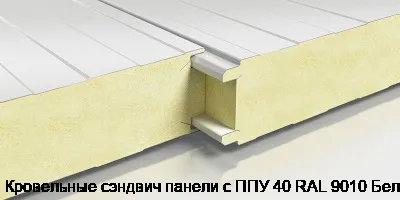 Кровельные сэндвич панели с ППУ 40 RAL 9010 Белый