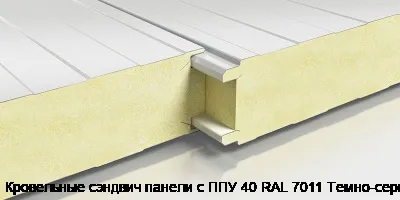 Кровельные сэндвич панели с ППУ 40 RAL 7011 Темно-серый
