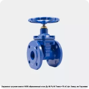 Изображение 4 - Задвижка чугунная аналог МЗВ обрезиненный клин Ду 80 Ру16 Тмакс=75 oC фл Завод им Гаджиева