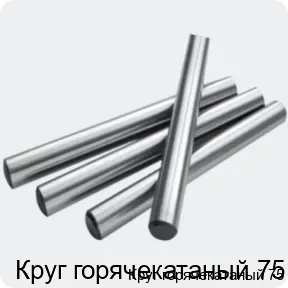 Изображение 2 - Круг горячекатаный 75