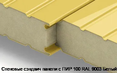 Стеновые сэндвич панели с ПИР 100 RAL 9003 Белый